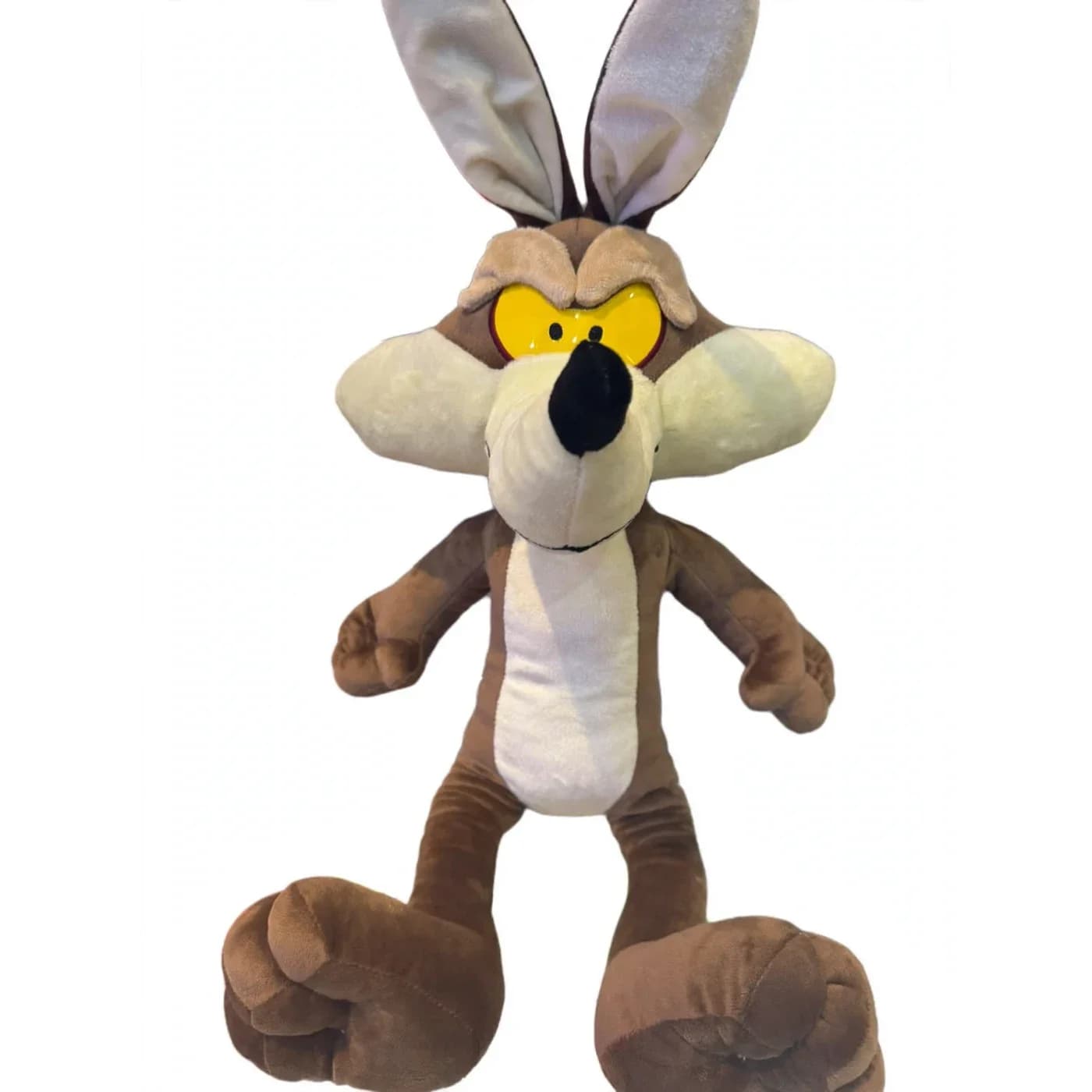 Coyote WB
