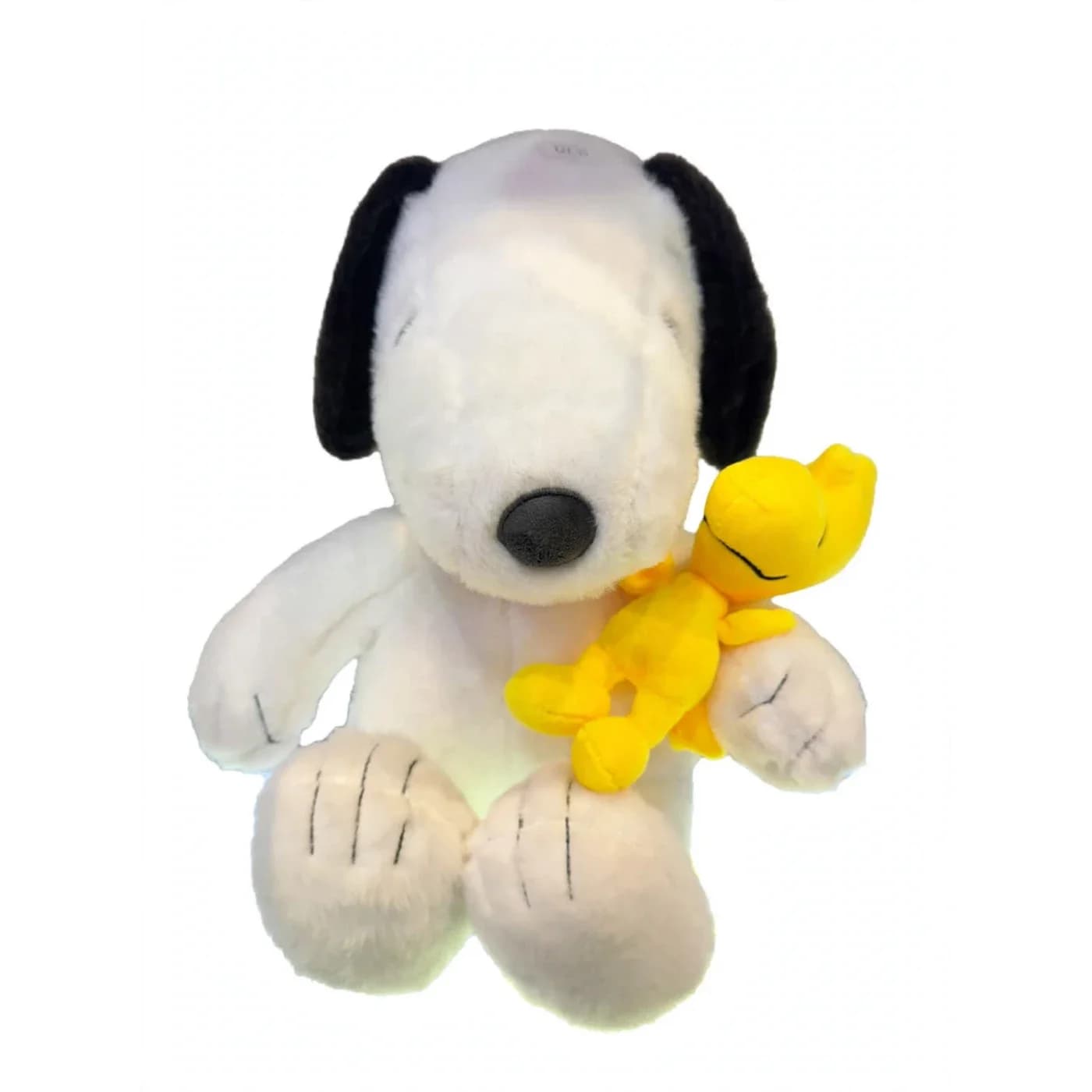 Snoopy y su amigo